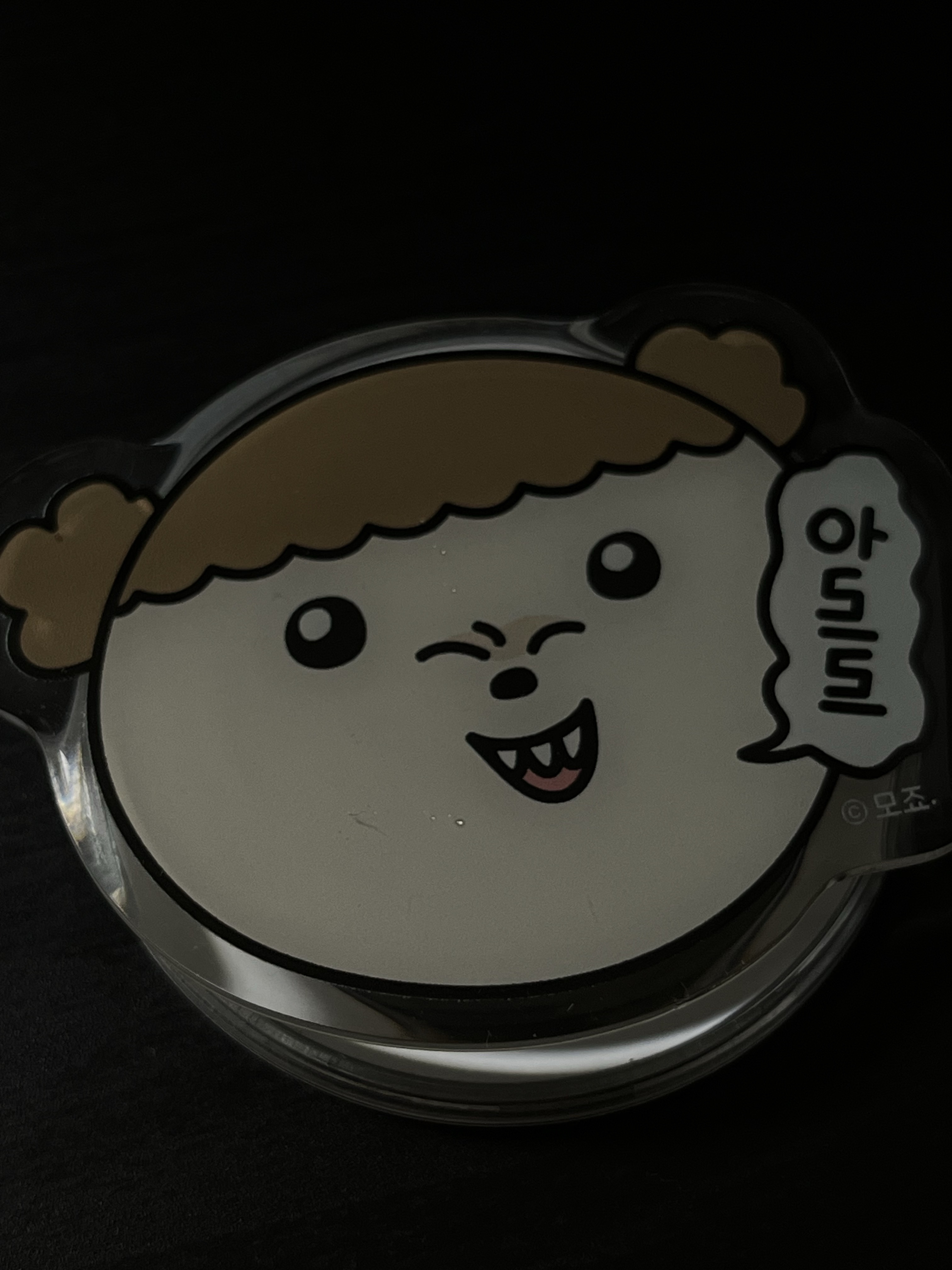 Maru is a Puppy Mag Safe Smarttok Arrr Maru 착용 스타일