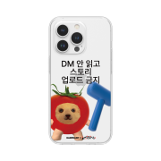 [EARPEARP X KIMS FRUITS] No Story Uploading Without Reading DMs Jelly Case