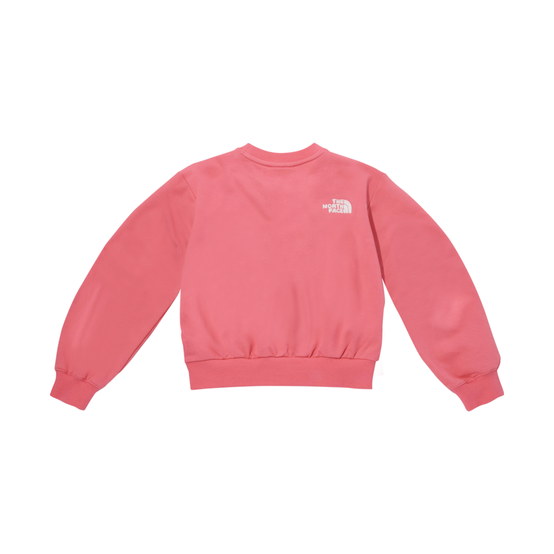 (W) 노스페이스 컴피 스웨트셔츠 핫 핑크((W) The North Face Comfy Sweatshirt Hot Pink) - 2