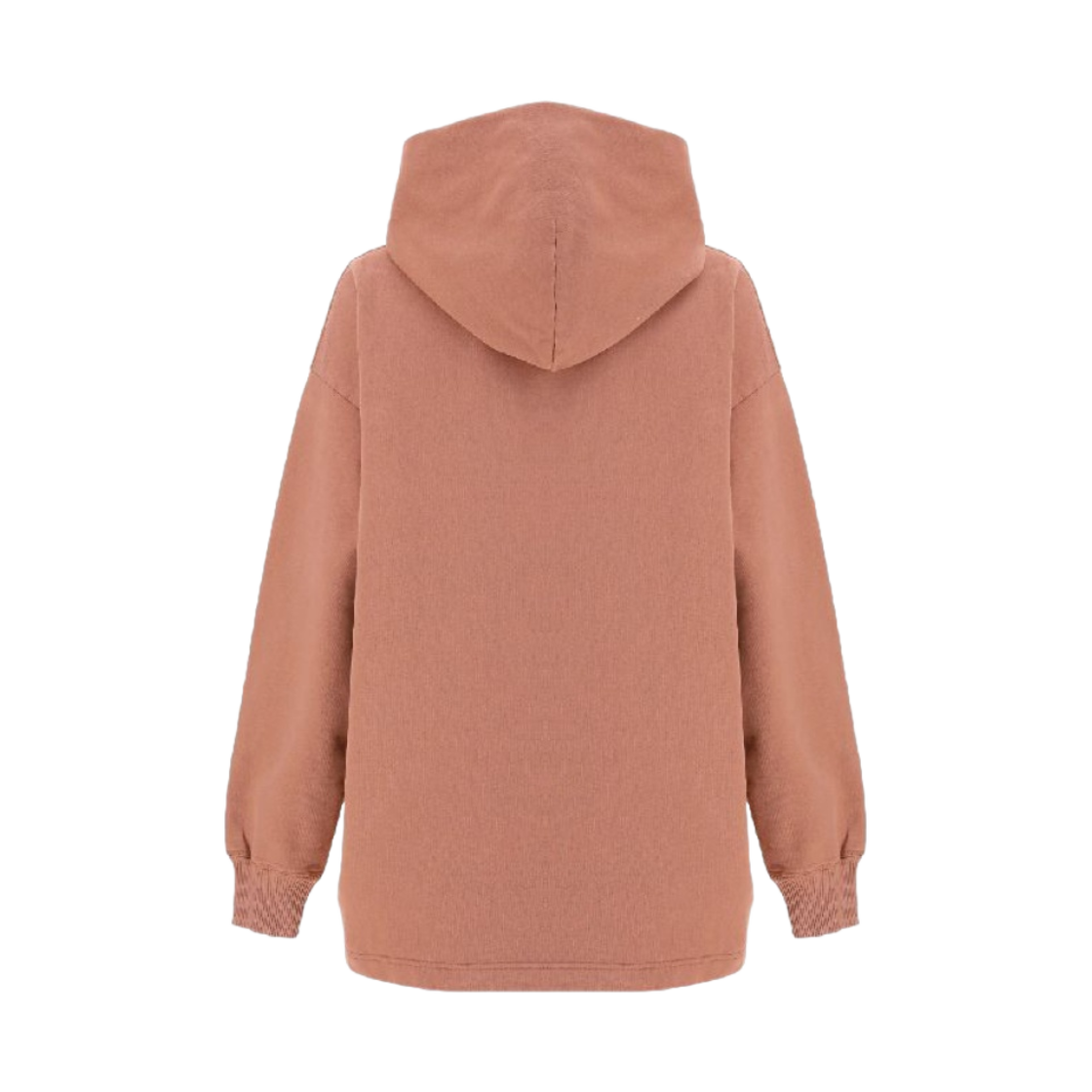 (W) 아크네 스튜디오 로고 프린트 후드 스웨트셔츠 블러쉬 핑크((W) Acne Studios Logo Print Hooded Sweatshirt Blush Pink) - 2