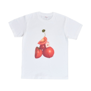 [KREAM 단독] Kims Fruits & Flower Tomato