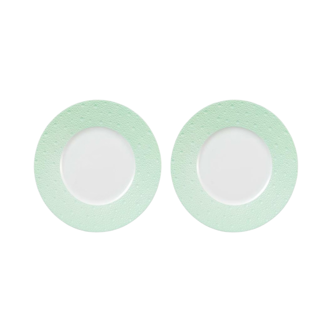 스타벅스 25주년 기념 베르나르도 플레이트 21cm (2개 세트)(Starbucks 25th Anniversary Bernardaud Plate 21cm (Set of 2)) - 1