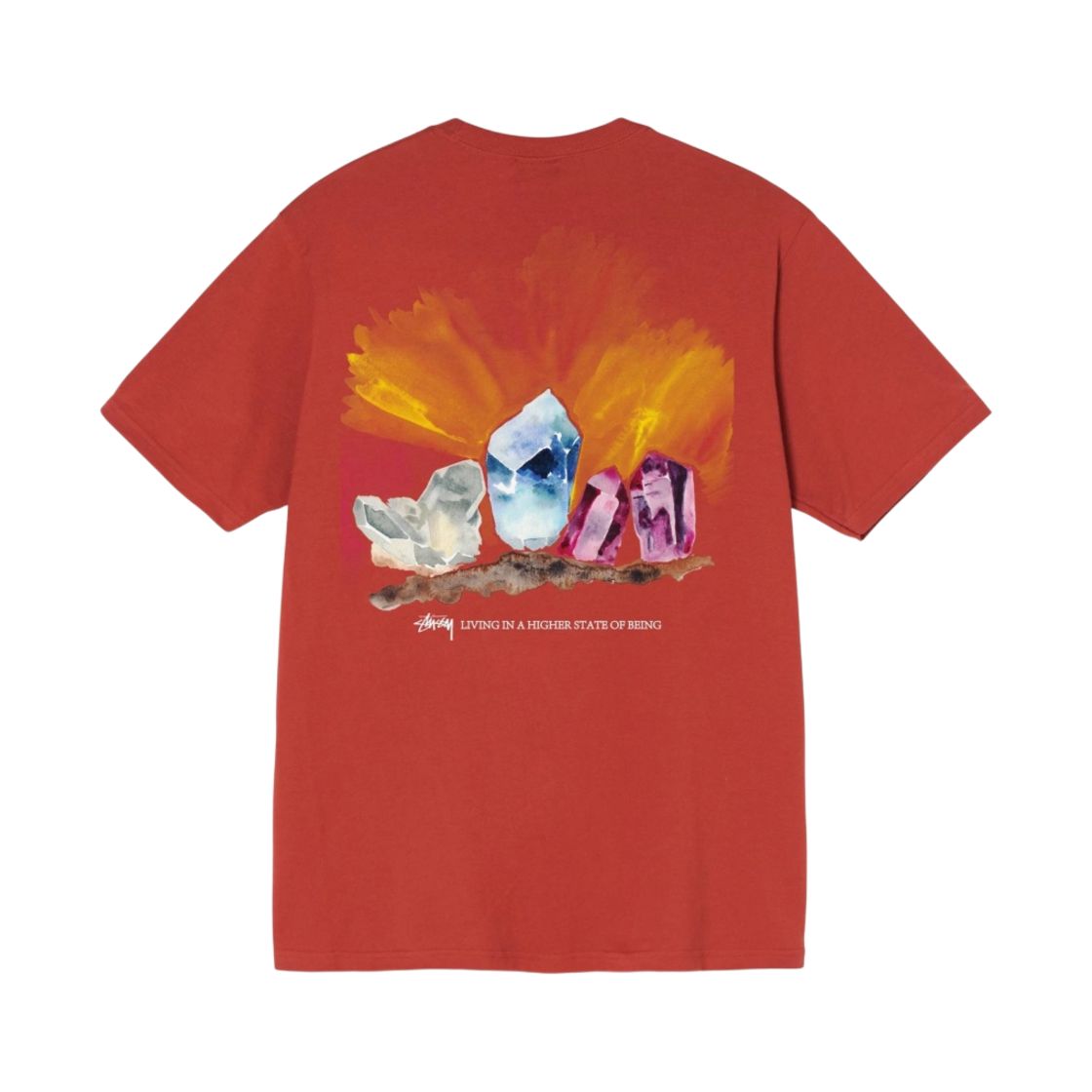 스투시 하이어 스테이트 티셔츠 브릭(Stussy Higher State T-Shirt Brick) - 1