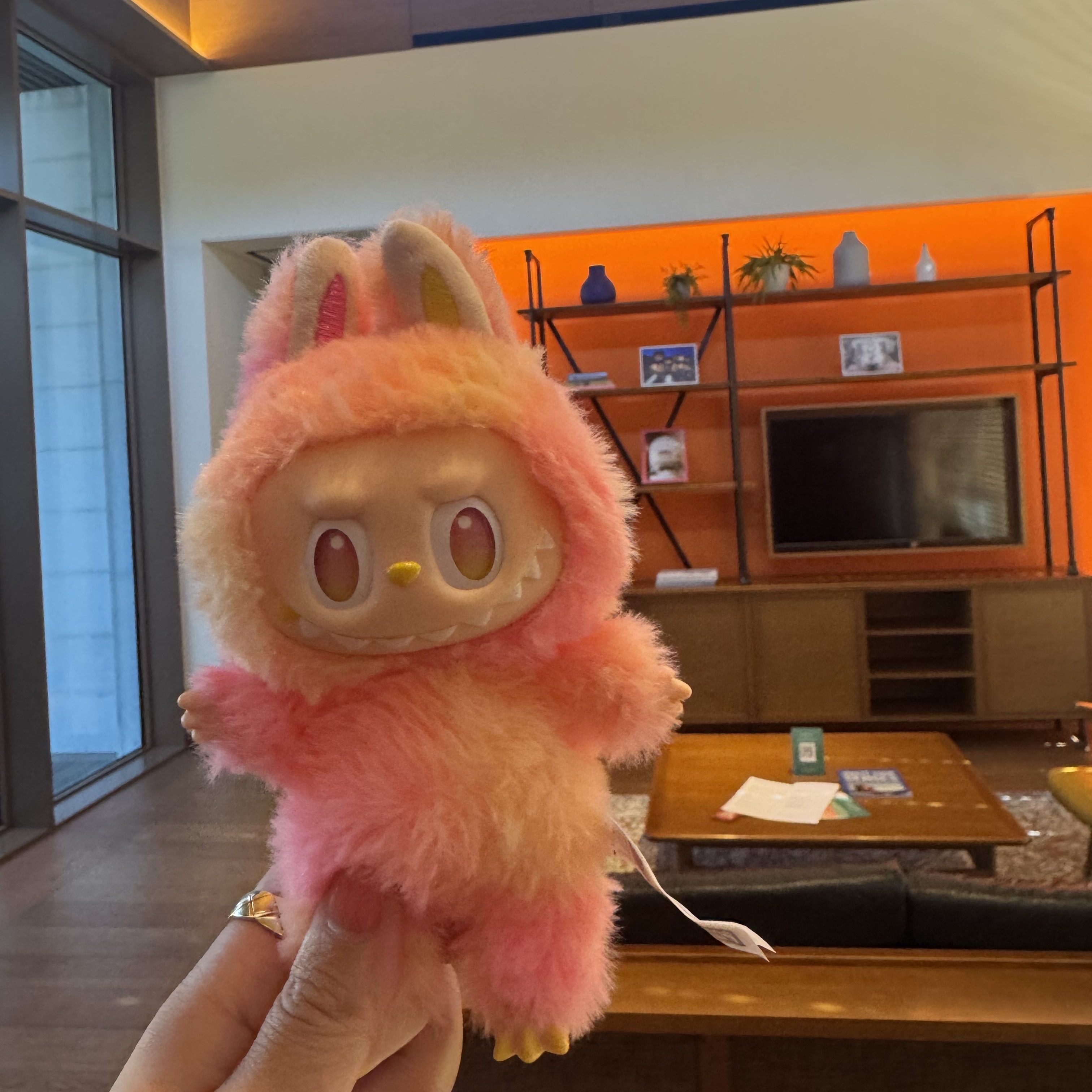 Pop Mart Labubu The Monsters Highlight Series Loyalty Keyring (Opened Case) 착용 스타일