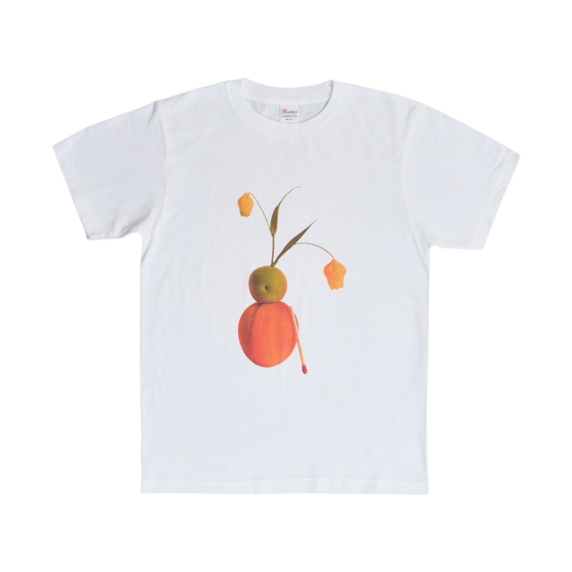 김씨네과일 & 꽃 살구 자두