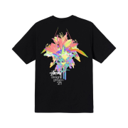Stussy Design Group 21 T-Shirt Black