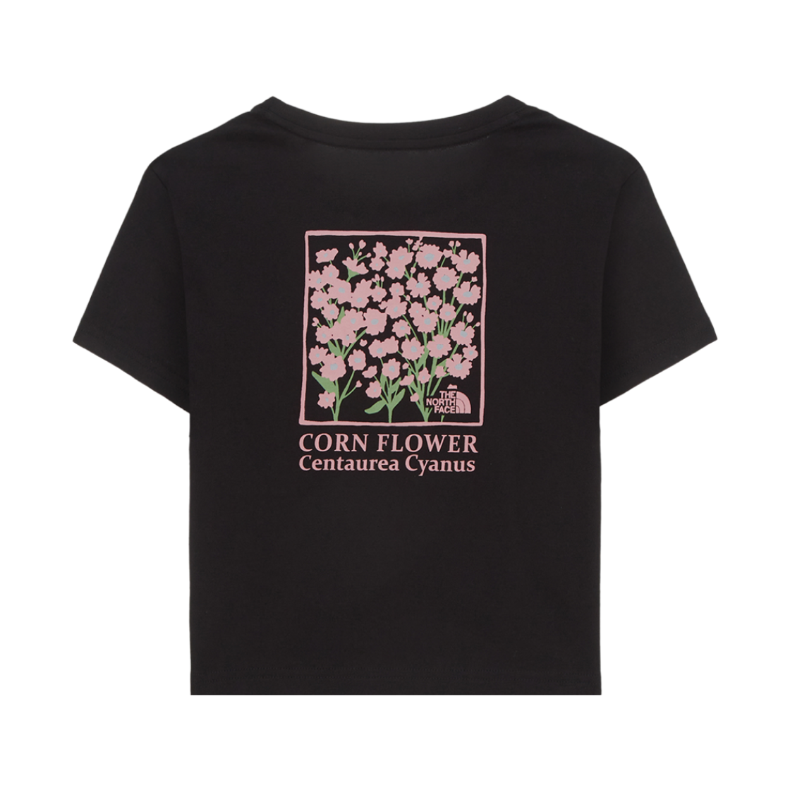 (W) 노스페이스 플로렛 숏슬리브 라운드 티셔츠 리얼 블랙 - 25SS((W) The North Face Floret S/S Round T-Shirt Real Black - 25SS) - 2
