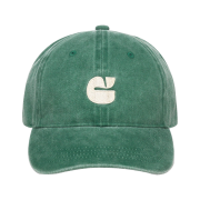 Carlyn New Logo Washed Cap Green_J74104010A