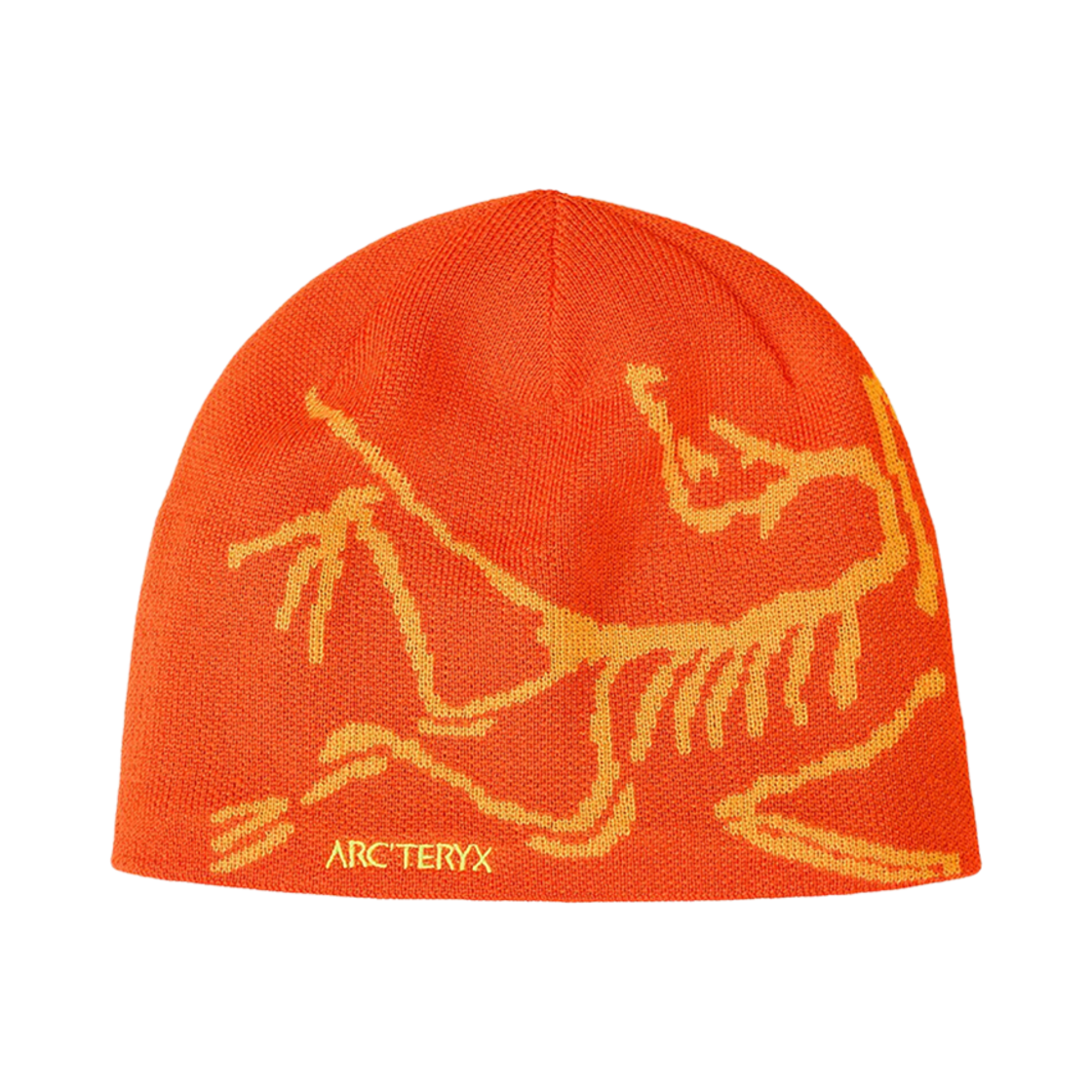 아크테릭스 버드 헤드 토크 솔라라이즈 엣지자(Arc'teryx Bird Head Toque Solaris Edziza)