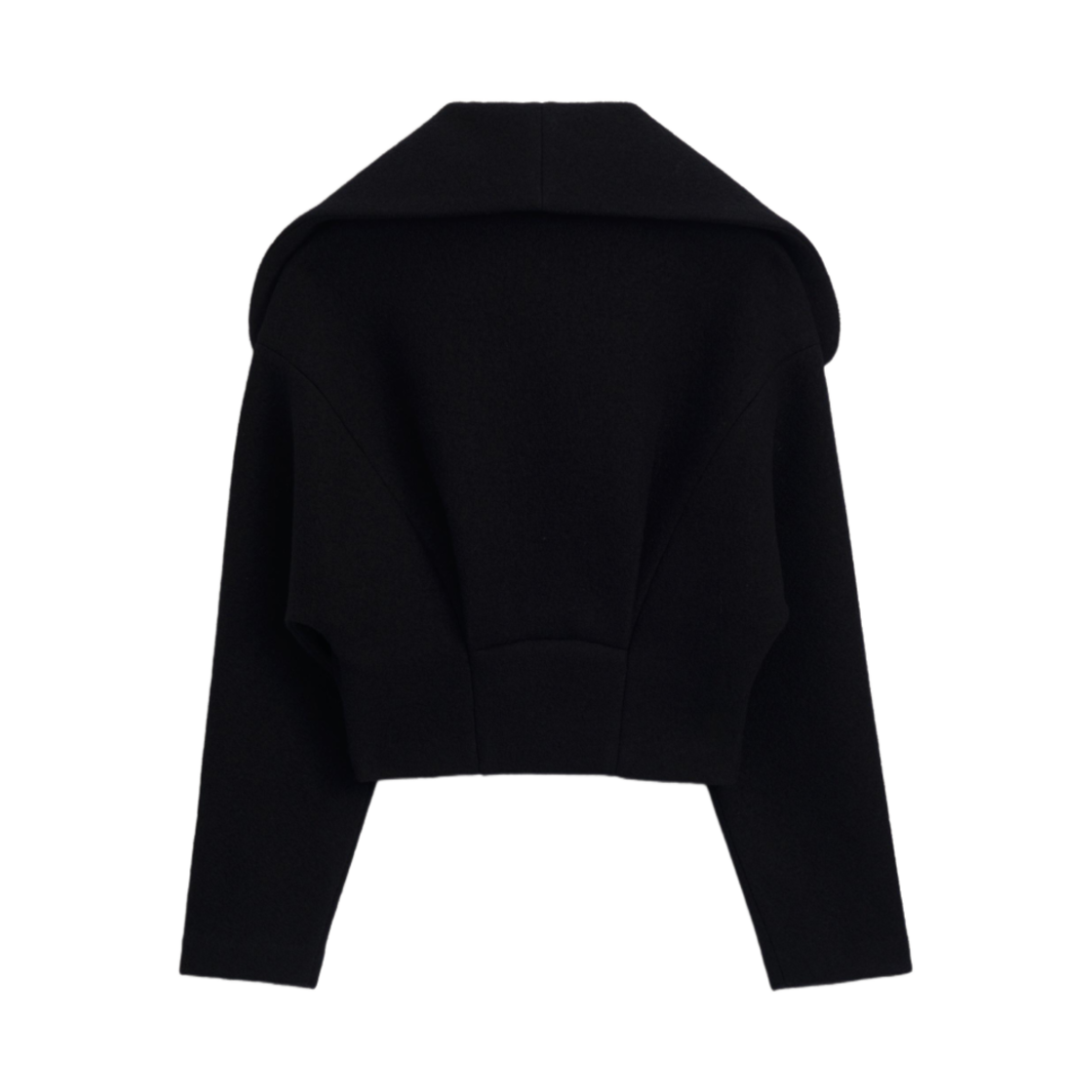 (W) 자라 리미티드 에디션 100% 울 크롭드 자켓 블랙((W) Zara Limited Edition 100% Wool Cropped Jacket Black) - 2