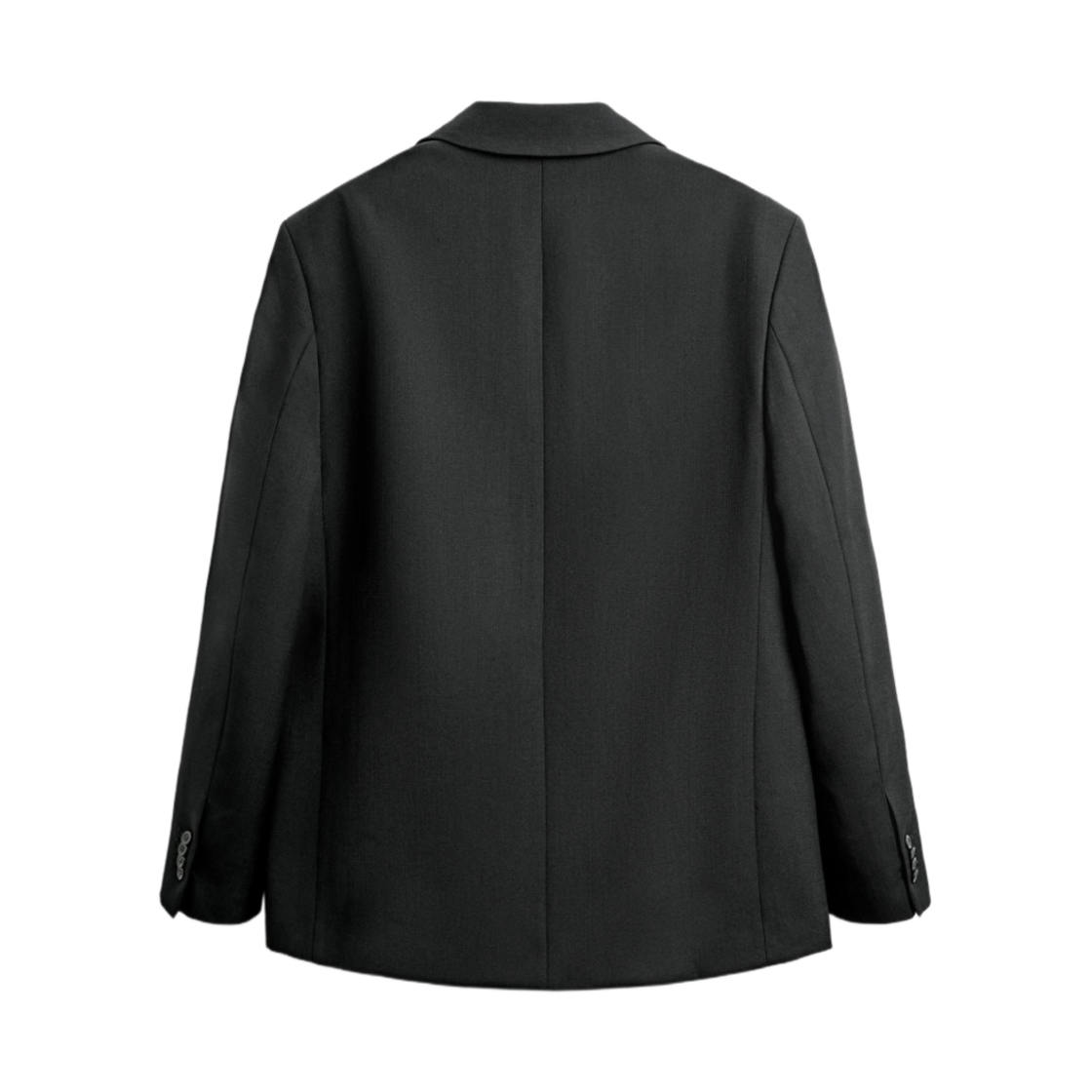 자라 x 나누시카 더블 브레스티드 수트 블레이저 블랙(Zara x Nanushka Double-Breasted Suit Blazer Black) - 2