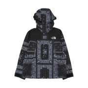 The North Face Novelty GTX Mountain Jacket Black