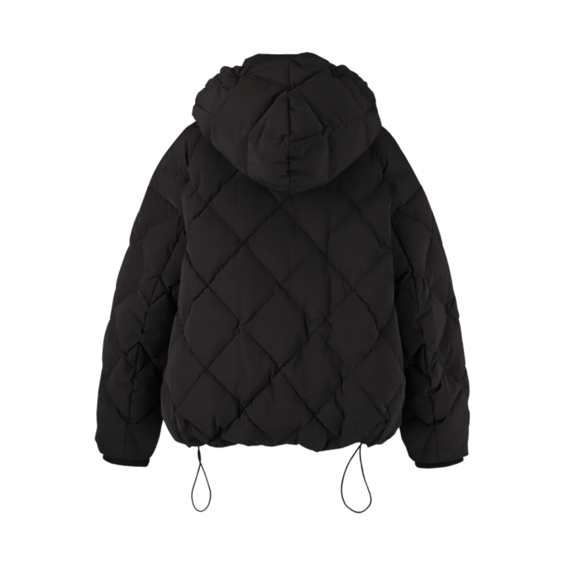 (W) 비비 애버리 다운 자켓 블랙((W) Bibiy. Avery Down Jacket Black) - 2