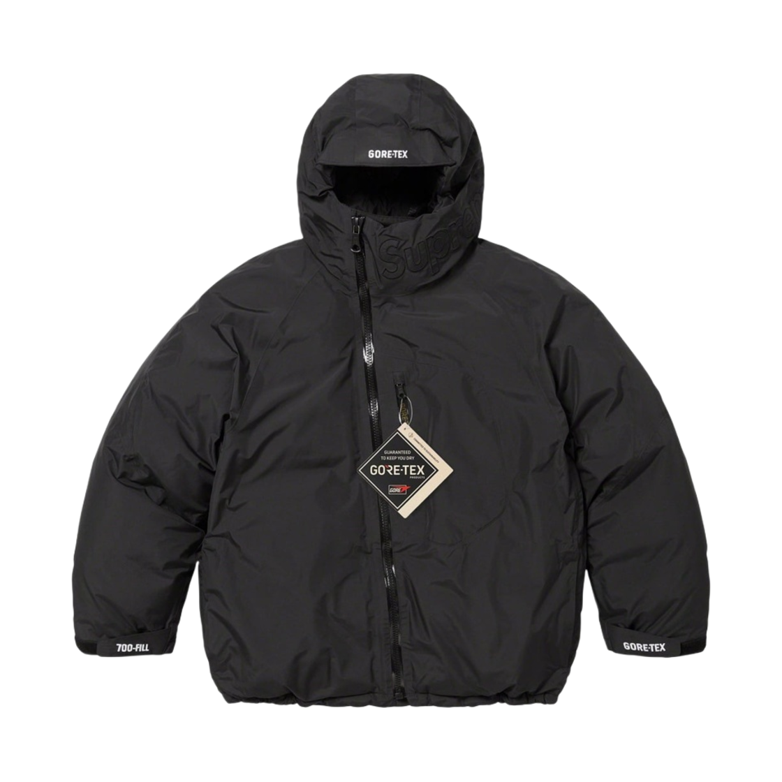슈프림 고어텍스 700-필 다운 파카 블랙 - 23FW(Supreme Gore-Tex 700-Fill Down Parka Black - 23FW)