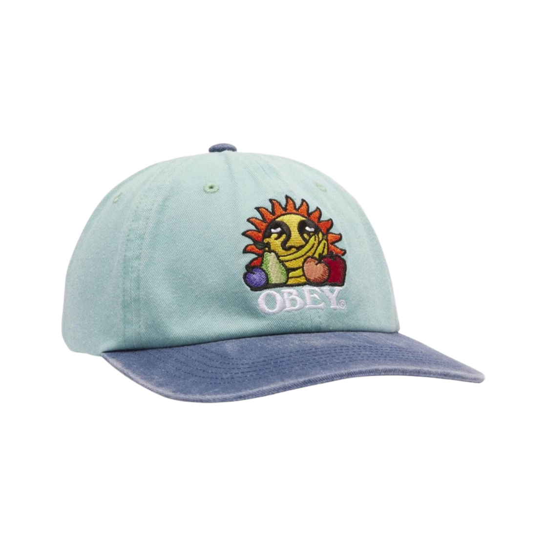100580366 Obey Pigment Fruits 6 Panel Snapback Pigment Sea Spray Multi