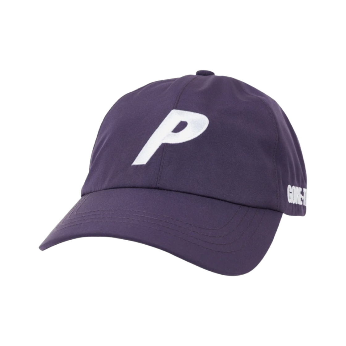 팔라스 고어텍스 더 돈 6-패널 캡 딥 퍼플 - 21FW(Palace Gore-Tex The Don 6-Panel Deep Purple - 21FW) - 1