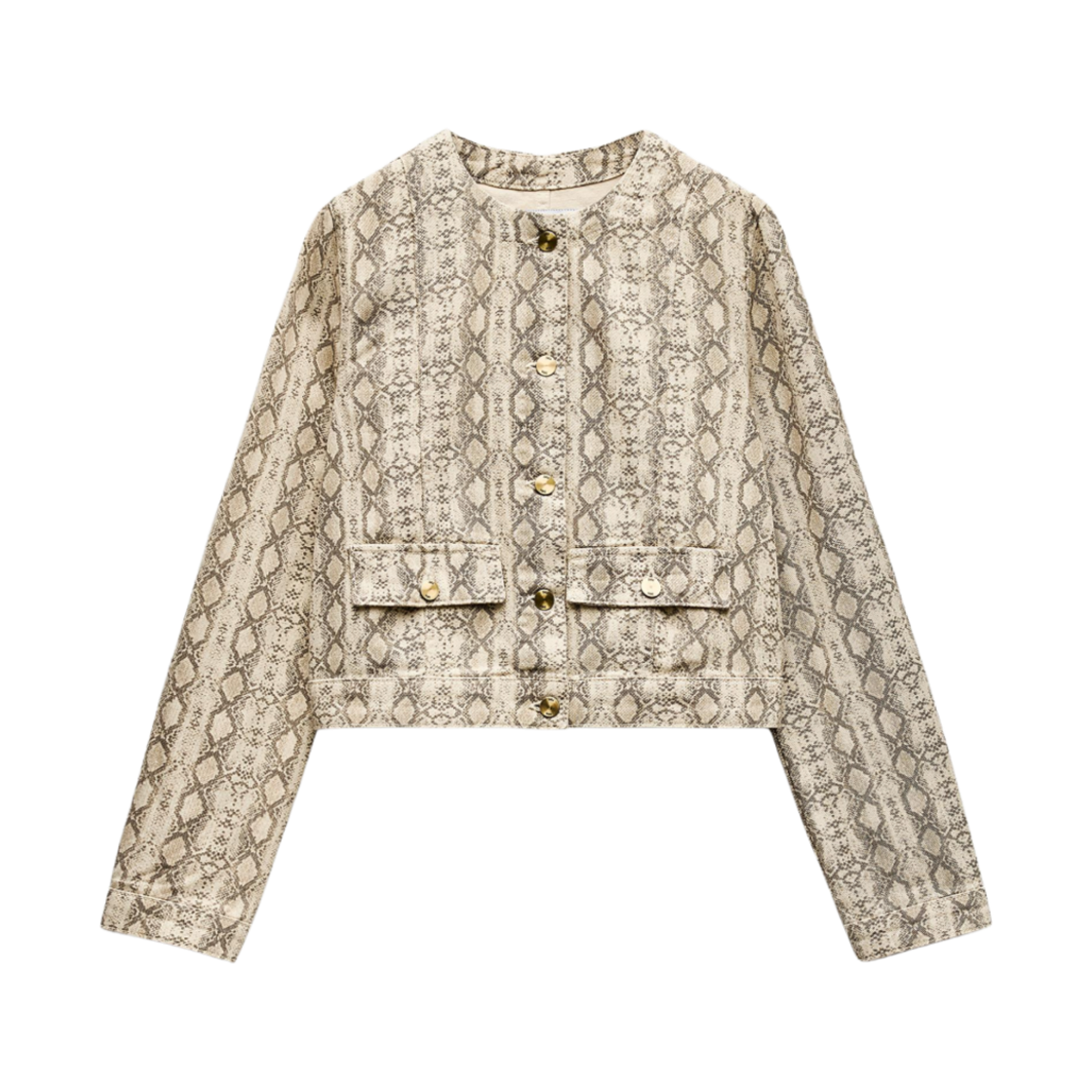 (W) 자라 애니멀 프린트 Z1975 자켓 스네이크((W) Zara Animal Print Z1975 Jacket Snake) - 1