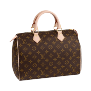 Louis Vuitton Speedy 30 Monogram