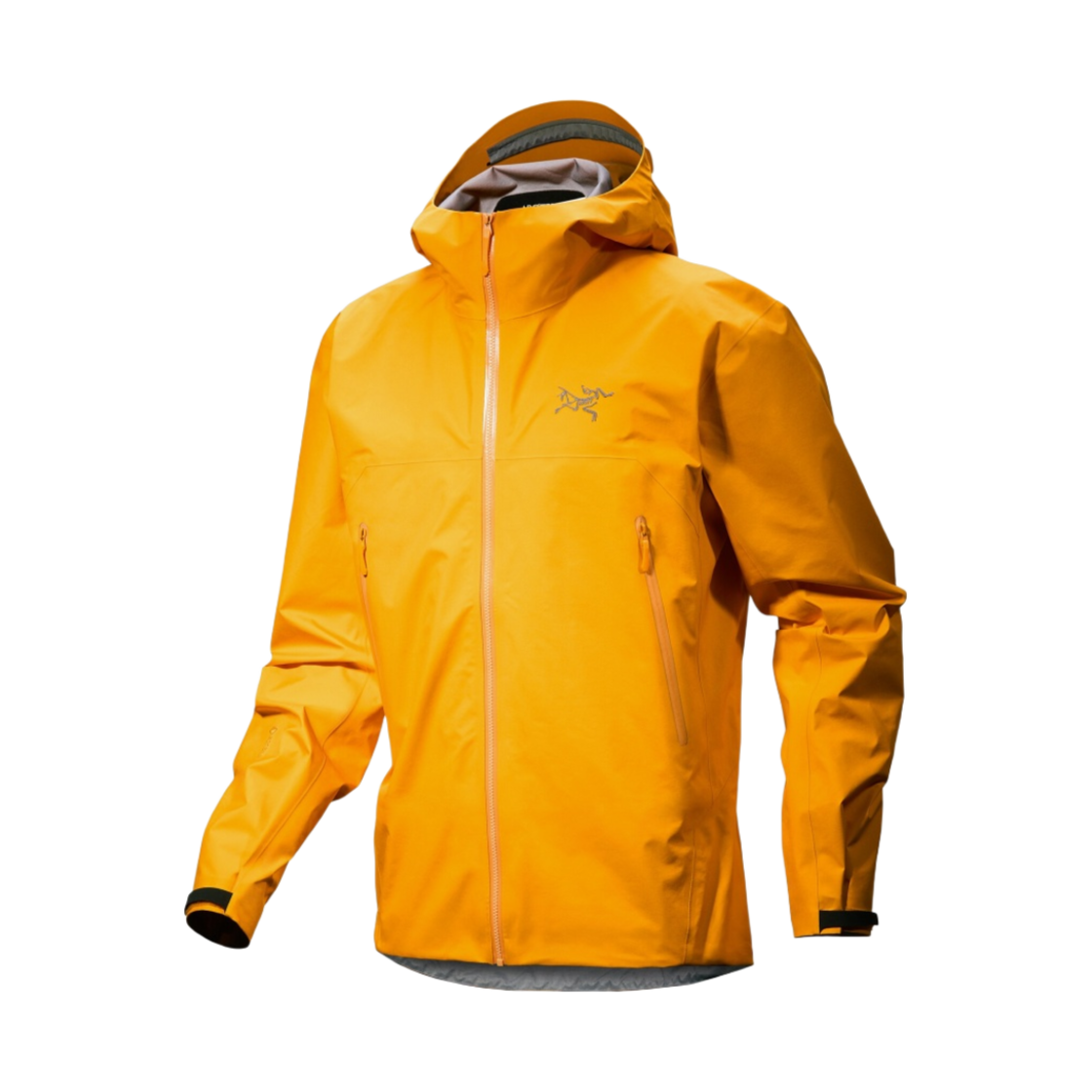 7507 Arc'teryx Beta Jacket Edziza