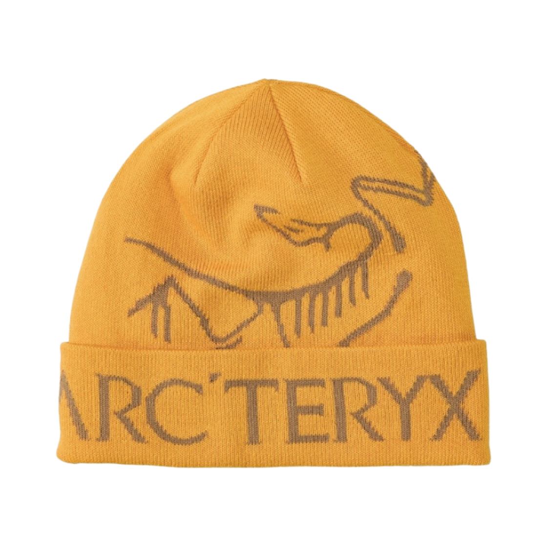아크테릭스 버드 워드 토크 유콘(Arc'teryx Bird Word Toque Yukon)