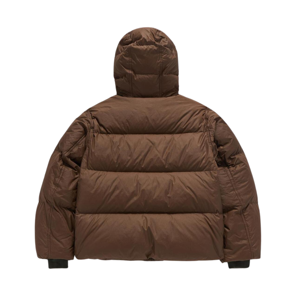 (W) 이스트로그 콜드 웨더 다운 점퍼 브라운((W) Eastlogue Cold Weather Down Jumper Brown) - 2