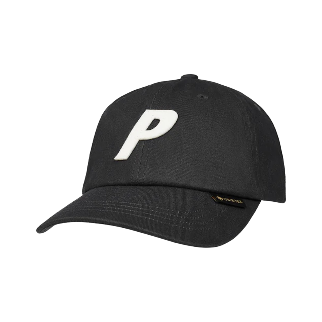 팔라스 고어텍스 피그먼트 P 6-패널 블랙 - 23FW