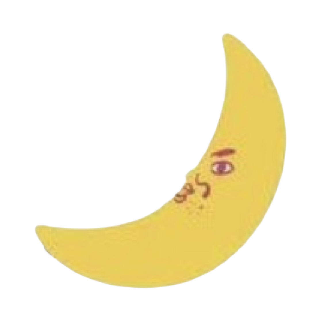 침착맨 달 쿠션
