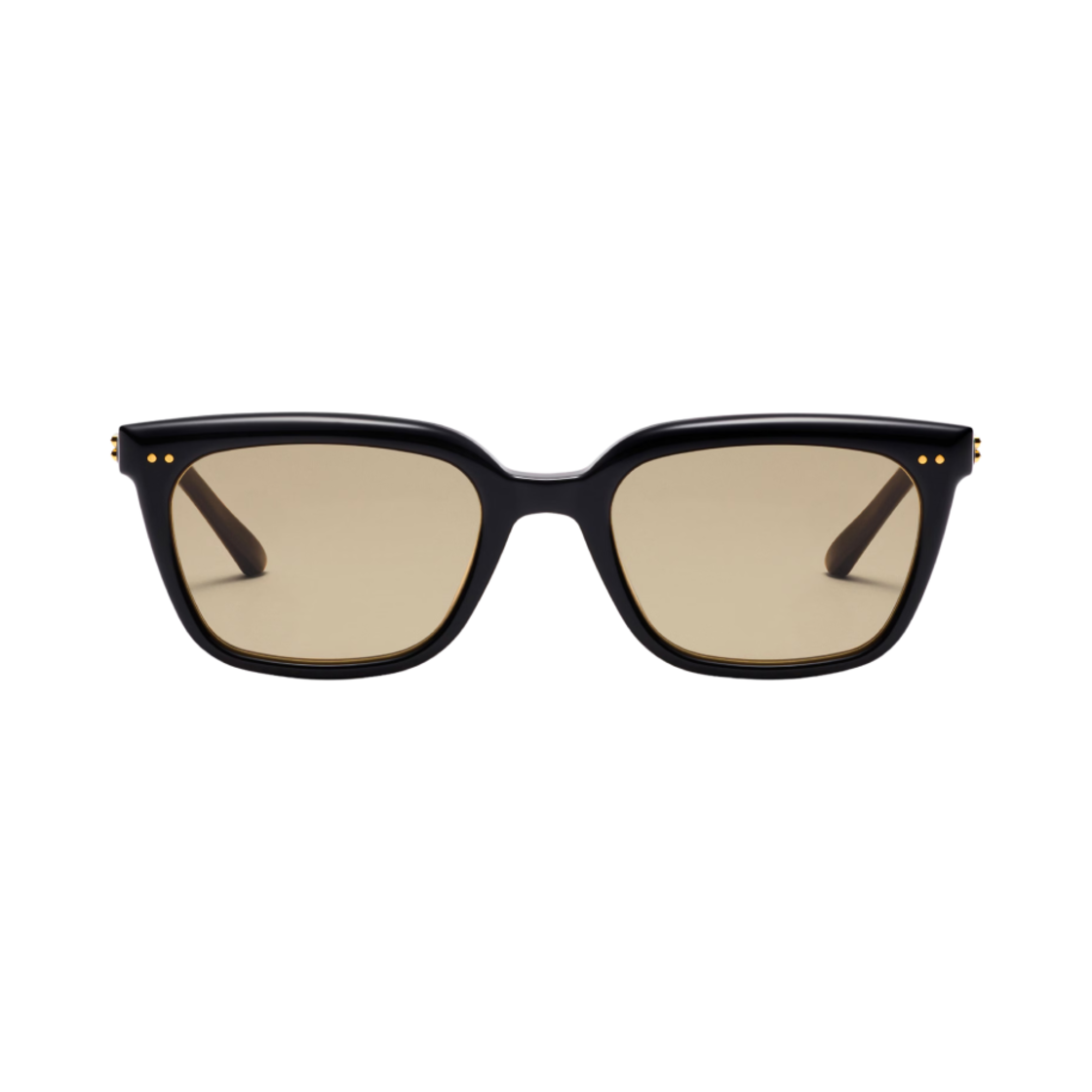 젠틀 몬스터 브리즈비 01 BR 블랙 브라운