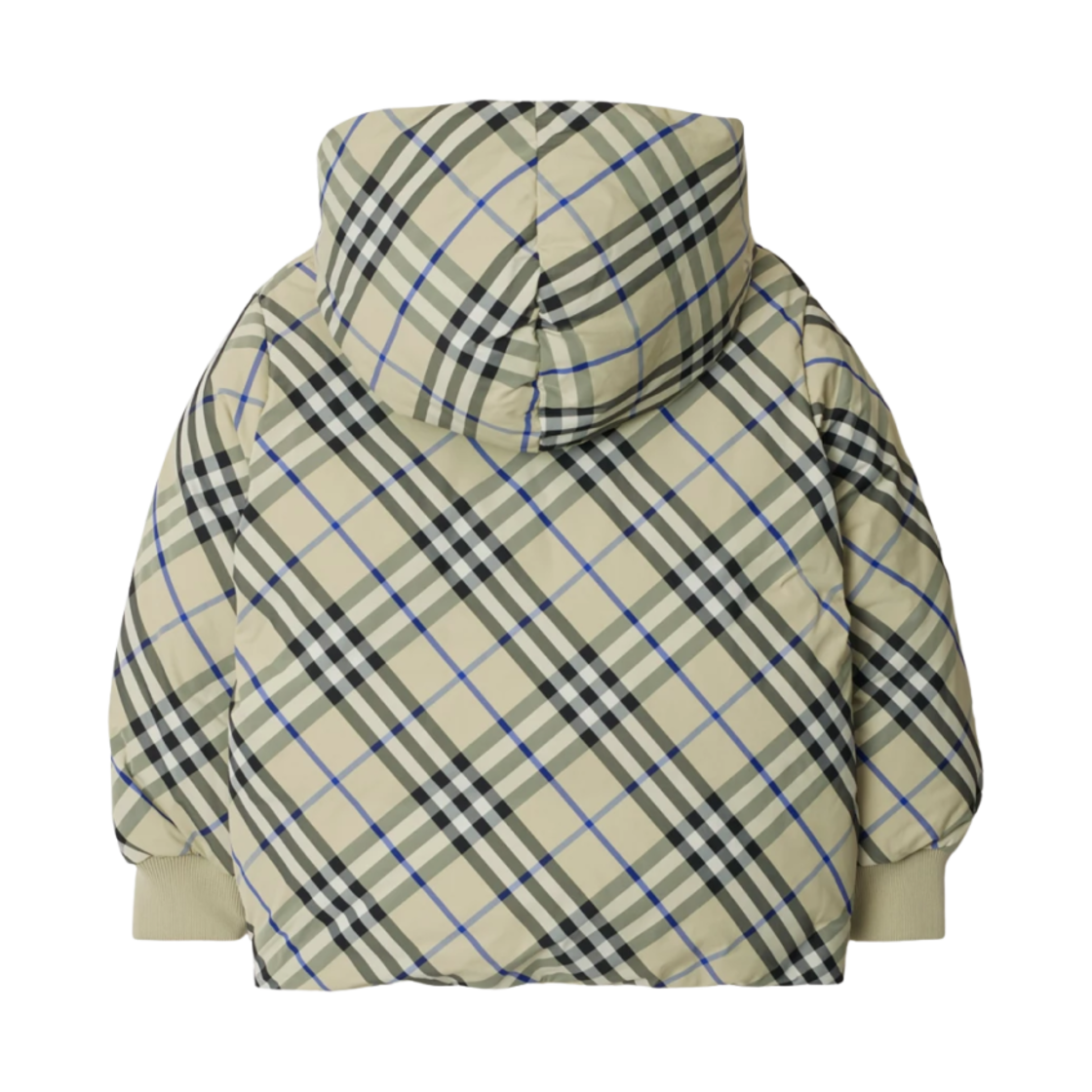 (키즈) 버버리 리버시블 체크 나일론 퍼퍼 자켓 리첸((Kids) Burberry Reversible Check Nylon Puffer Jacket Lichen) - 2
