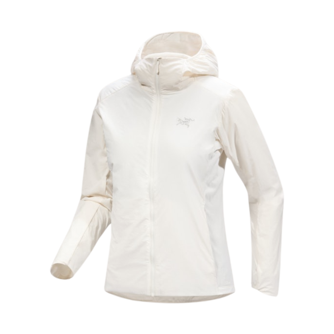 (W) 아크테릭스 아톰 SL 후디 아크틱 실크((W) Arc'teryx Atom SL Hoody Arctic Silk) - 1