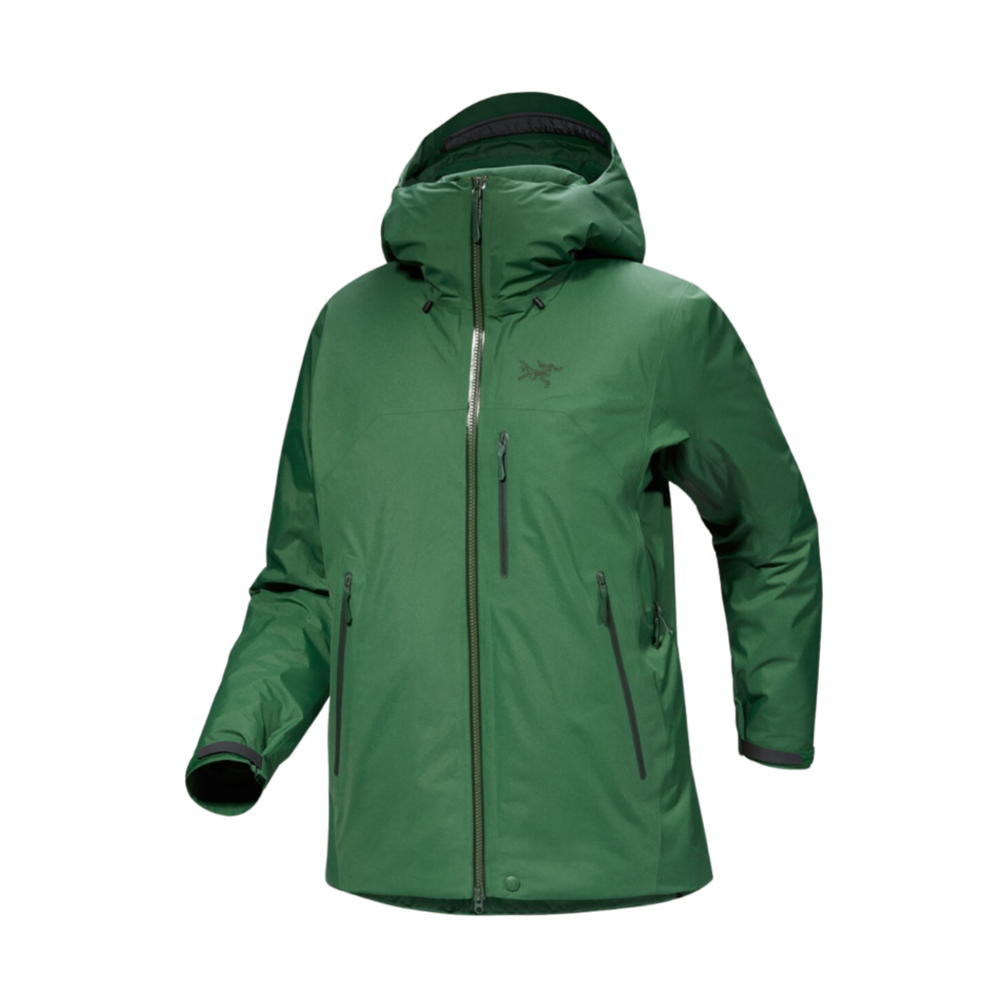 (W) 아크테릭스 베타 인슐레이티드 자켓 에덴((W) Arc'teryx Beta Insulated Jacket Eden) - 1