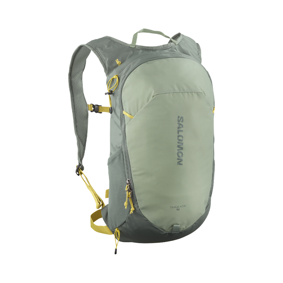 LC2462900 Salomon Trailblazer 10 Grey Khaki