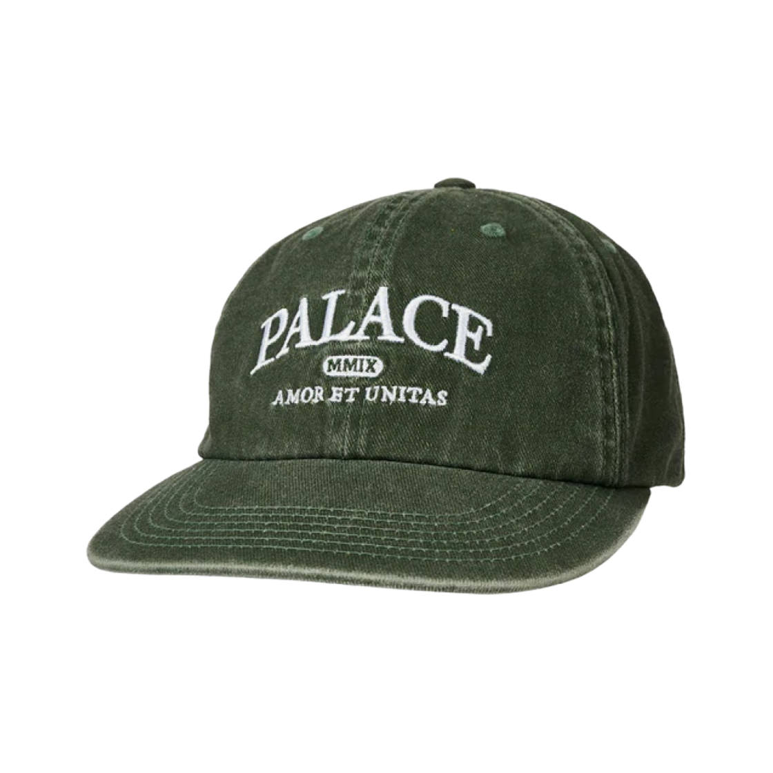 팔라스 유니타스 피그먼트 팔 햇 그린 - 23FW
