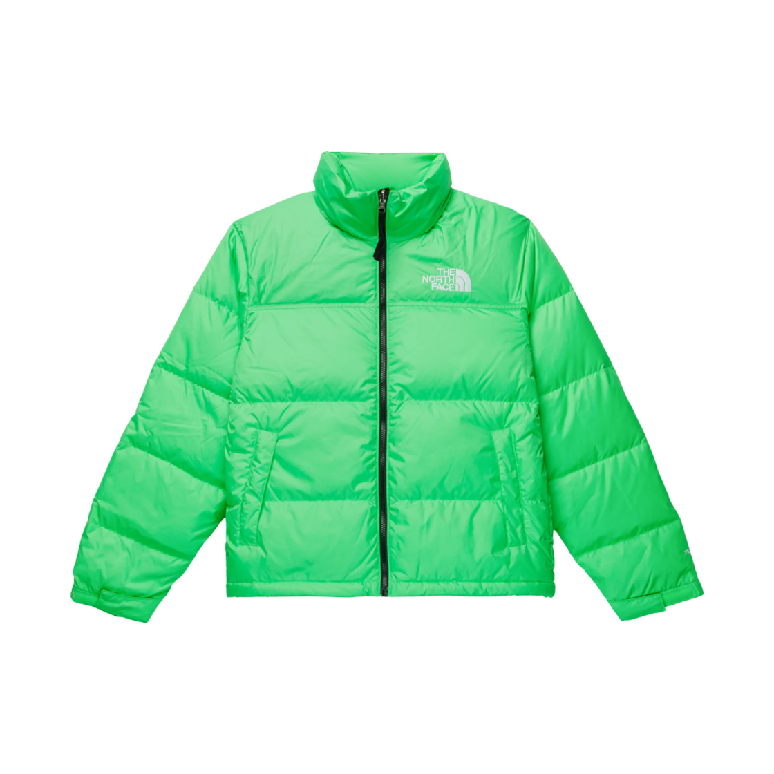 노스페이스 1996 레트로 눕시 자켓 클로로필 그린(The North Face 1996 Retro Nuptse Jacket Chlorophyll Green) - 1