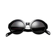 Supreme Downtown Sunglasses Black - 21SS