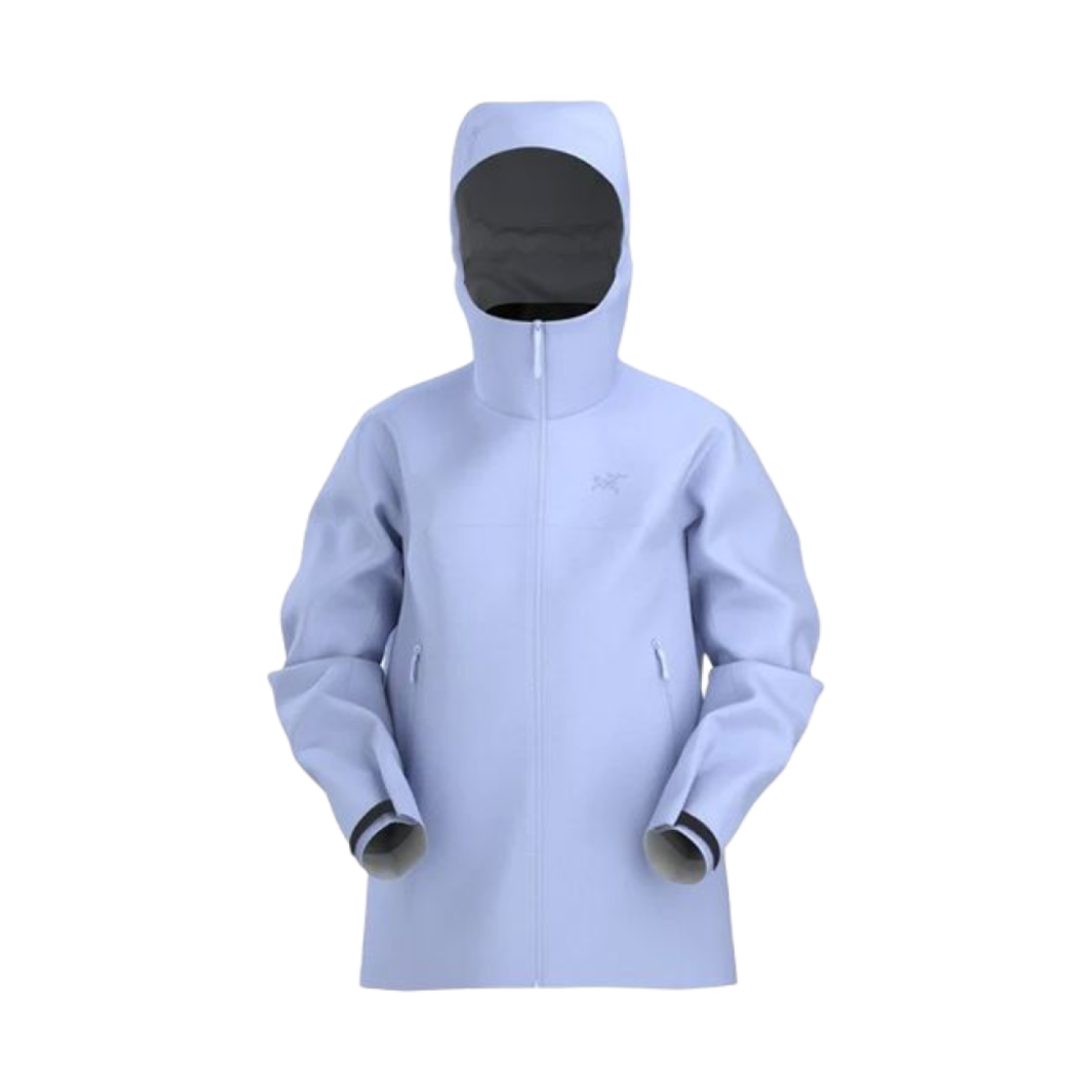 (W) 아크테릭스 x 빔즈 보이 베타 자켓 아우라((W) Arc'teryx x Beams Boy Beta Jacket Aura)