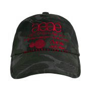 AEAE Web Logo Camo 5 Pannel Cap Black