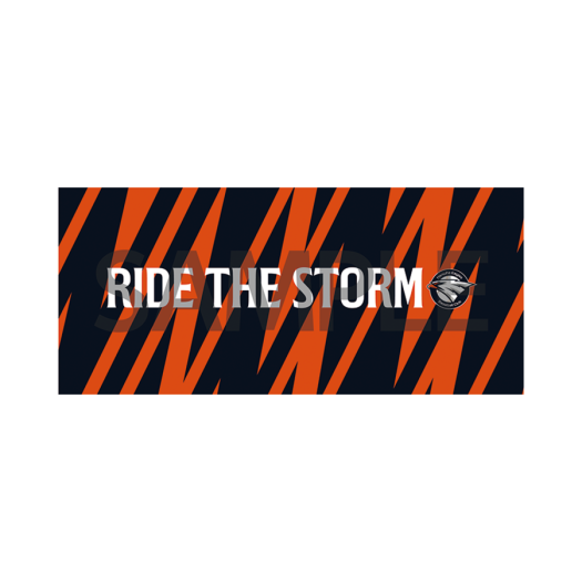FHWGCH04002 Hanwha Eagles 25 Slogan Towel