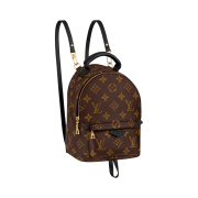 Louis Vuitton Palm Springs Mini Backpack Monogram