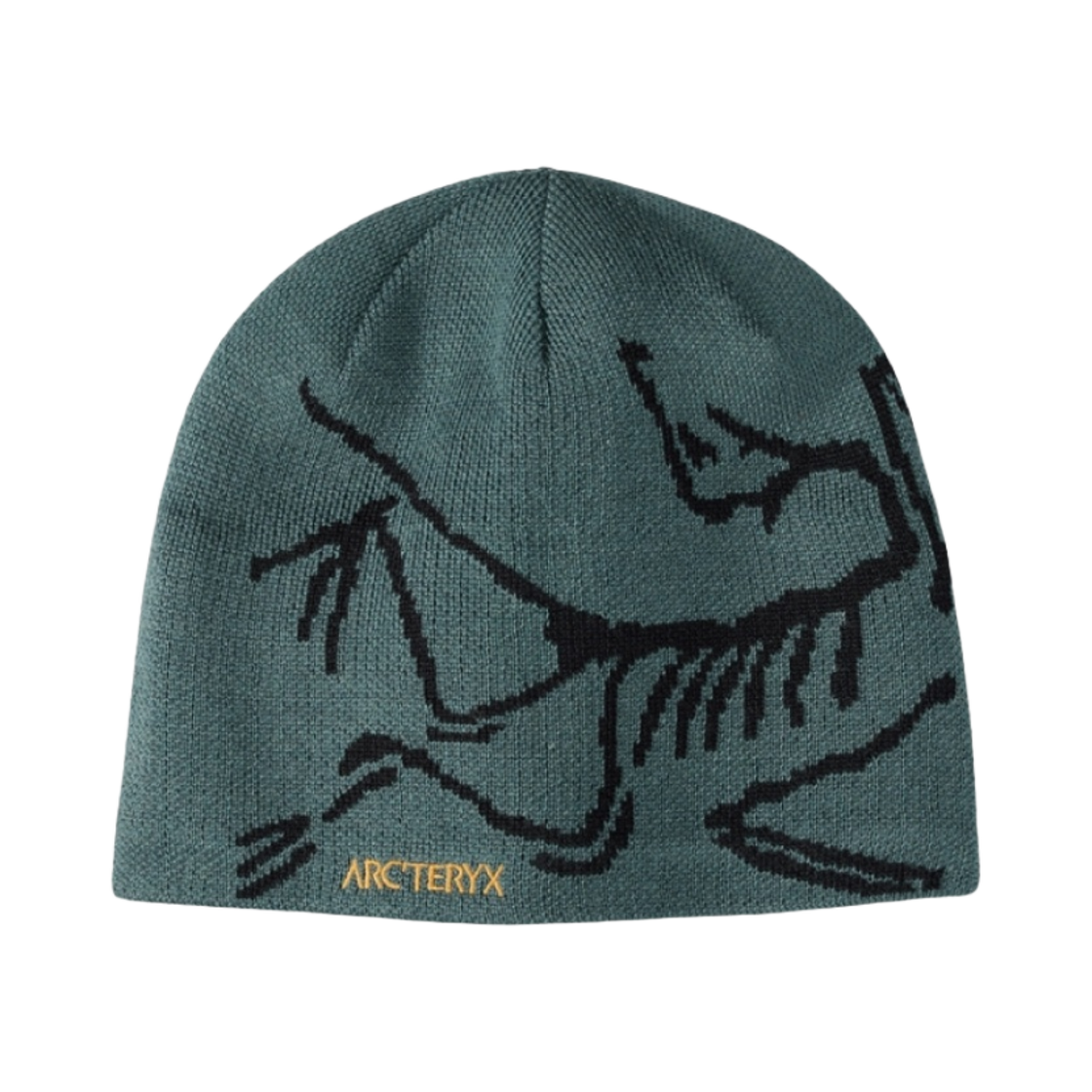 아크테릭스 버드 헤드 토크 다크 매직(Arc'teryx Bird Head Toque Dark Magic)
