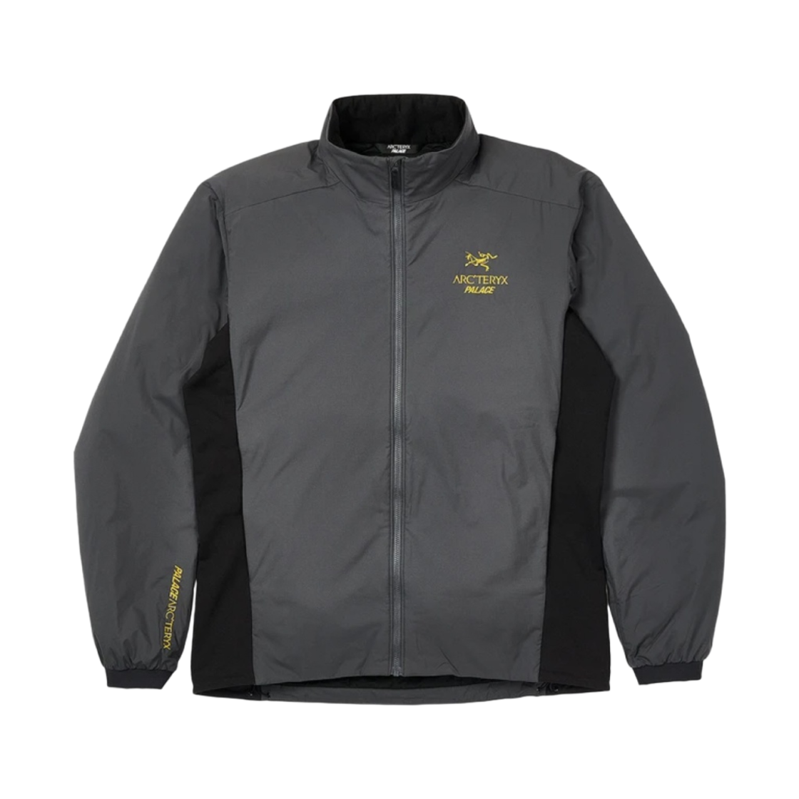 팔라스 x 아크테릭스 LT 자켓 - 20FW(Palace x Arc'teryx LT Jacket - 20FW) - 1