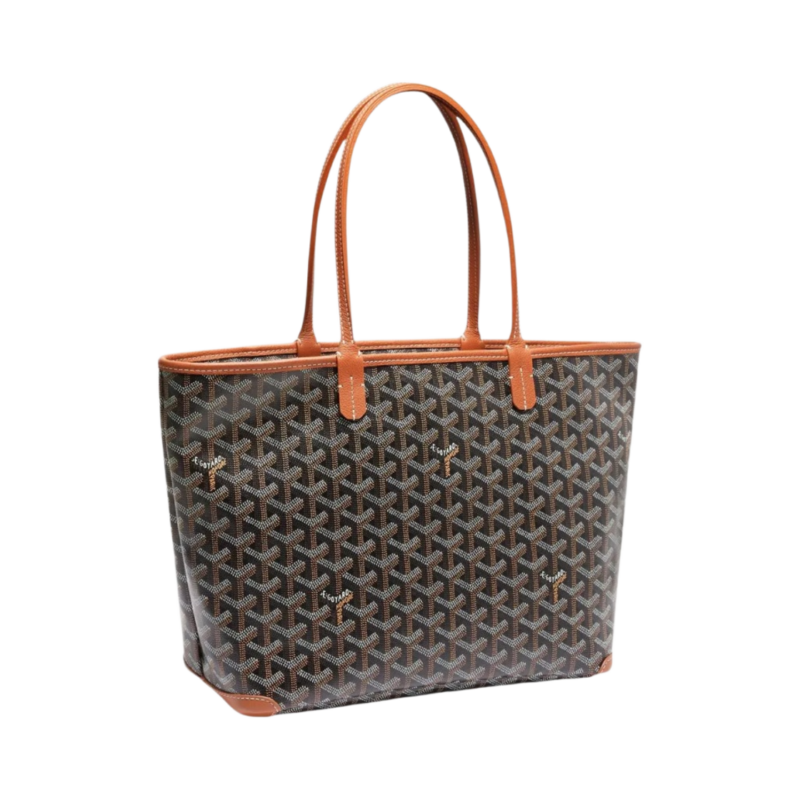 고야드 아르투아백 PM 블랙 탄