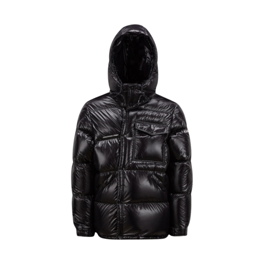 Moncler x Fragment Anthemium Short Down Jacket Black - 22FW
