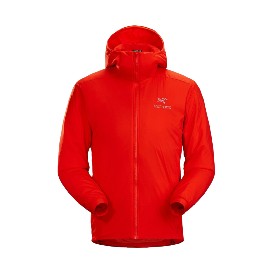 아크테릭스 아톰 LT 후디 다이나스티(Arc'teryx Atom LT Hoody Dynasty) - 1