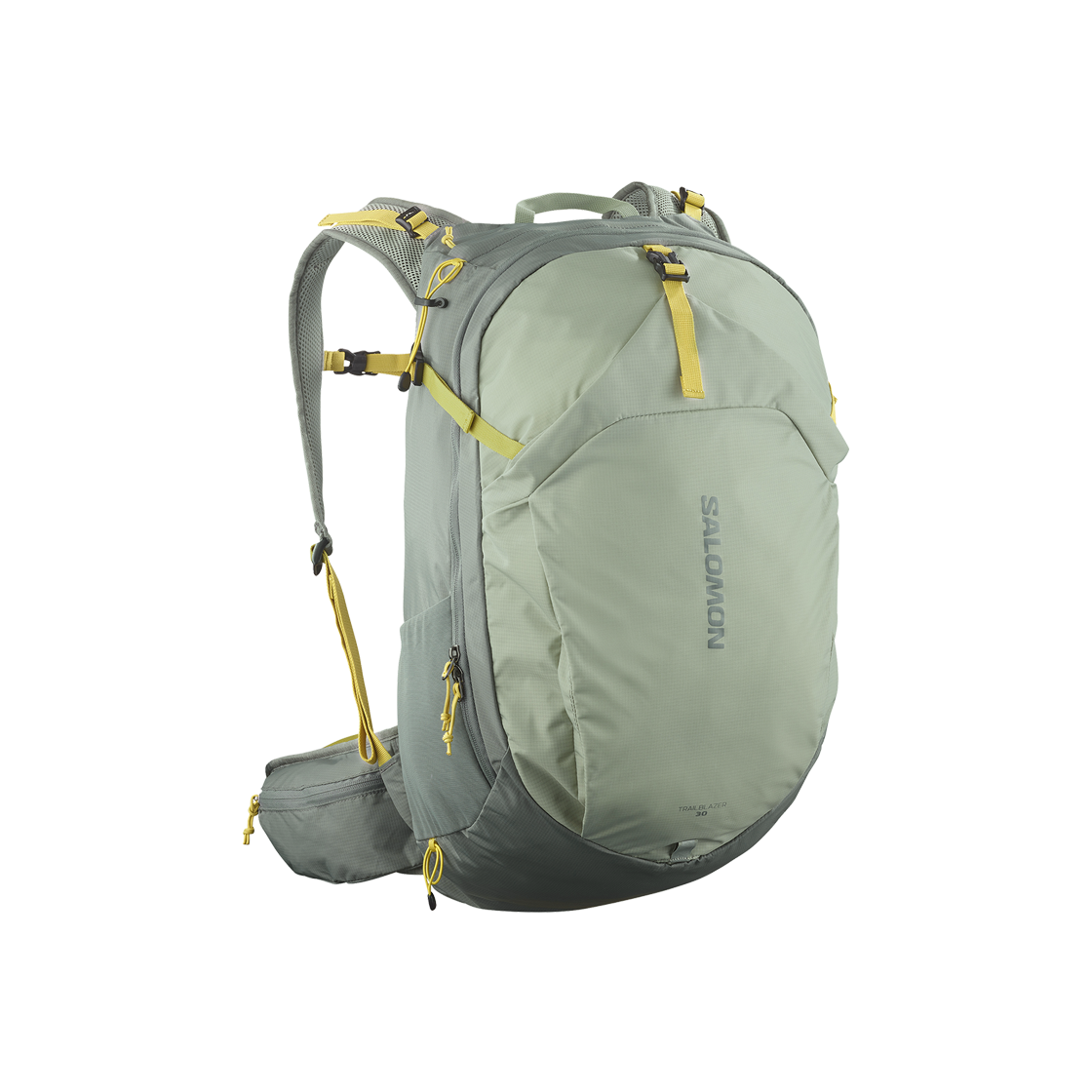 LC2463000 Salomon Trailblazer 30 Grey Khaki