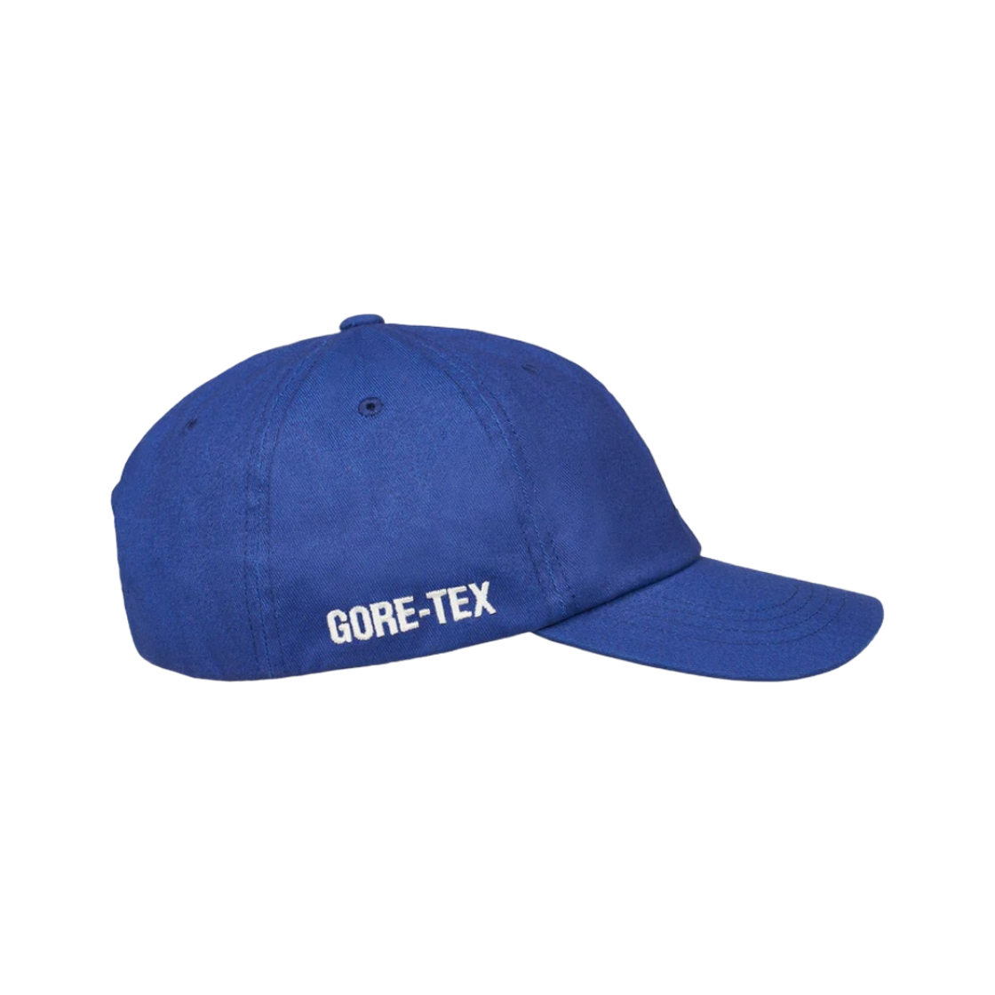 팔라스 고어텍스 피그먼트 P 6-패널 울트라 - 23FW(Palace Gore-Tex Pigment P 6-Panel Ultra - 23FW) - 2