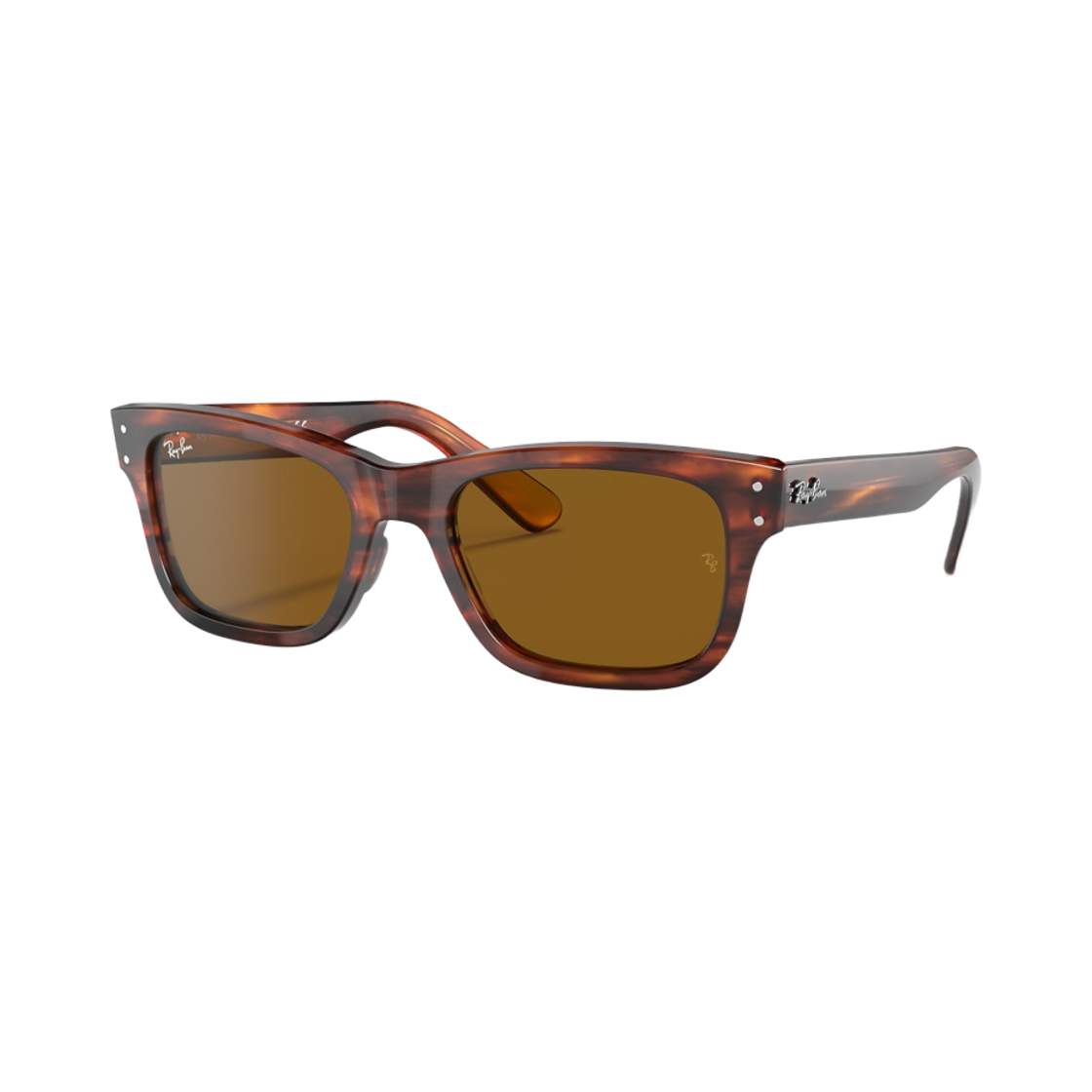 레이밴 버뱅크 폴리쉬드 하바나 프레임 브라운 렌즈 로우 브릿지 핏(Ray-Ban Burbank Polished Havana Frame Brown Lenses Low Bridge Fit) - 1