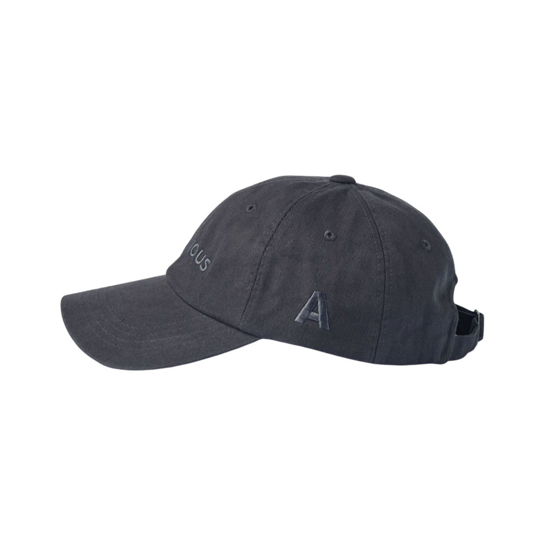 나니머스에이에이 아이코닉 캡 C/그레이(Nonymous Aa Iconic Cap C/Gray) - 2