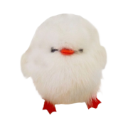 Cosymosy Baby Bird Keyring White