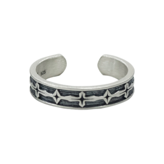 PL5PJE3601 [프리오더] Polyteru 925 Silver Ring 005 Star